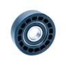 DSA3003965 70256204 Escalator Step Roller OD70mm W25mm Bearing 6204 Blue Skeleton Roller